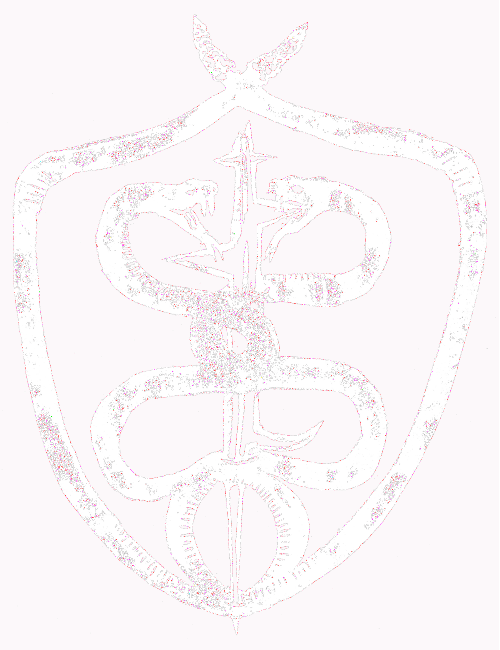 Yo diablo logo