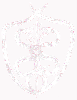 Yo diablo logo